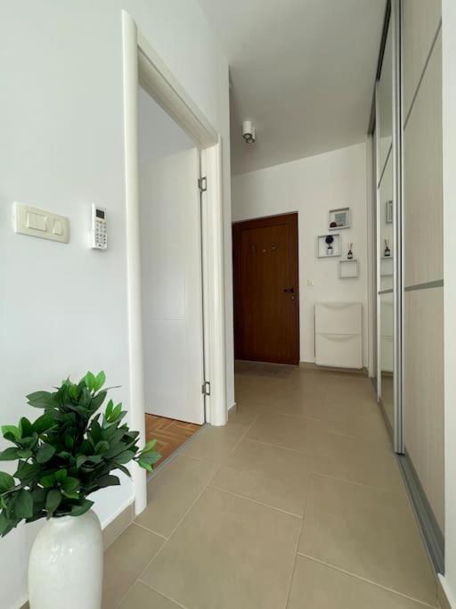Acacia Hill Apartments تْشيرسيك نوفي المظهر الخارجي الصورة