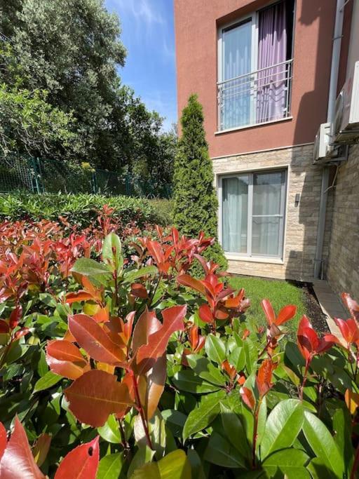 Acacia Hill Apartments تْشيرسيك نوفي المظهر الخارجي الصورة
